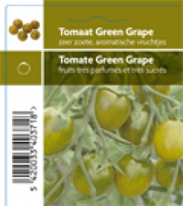 images/productimages/small/371_Tomaat Green Grape-1 kopie.jpg